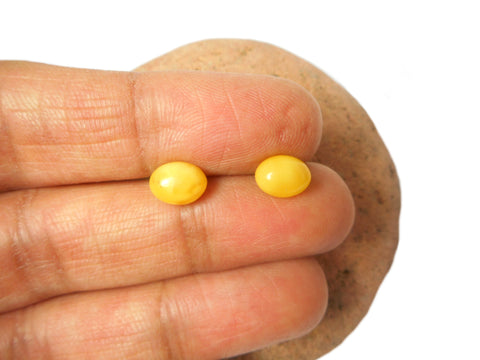 Butterscotch AMBER Sterling Silver Gemstone Oval Stud Earrings 925  - 6 x 8 mm