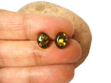 Green AMBER Sterling Silver Gemstone Oval Stud Earrings 925  - 7 x 9 mm